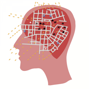 brain_roadmap