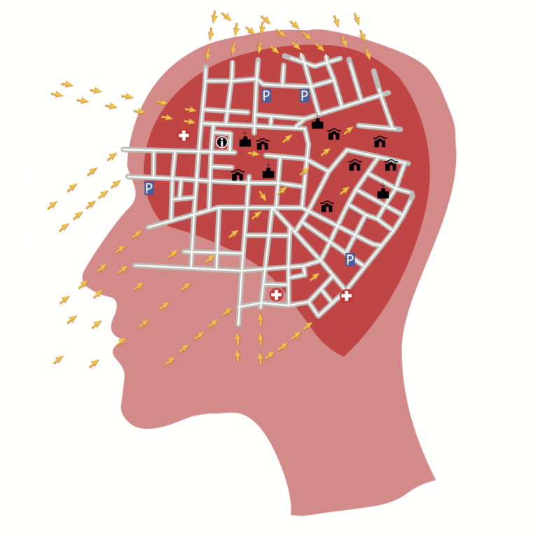 The Brain’s Hidden Shortcuts